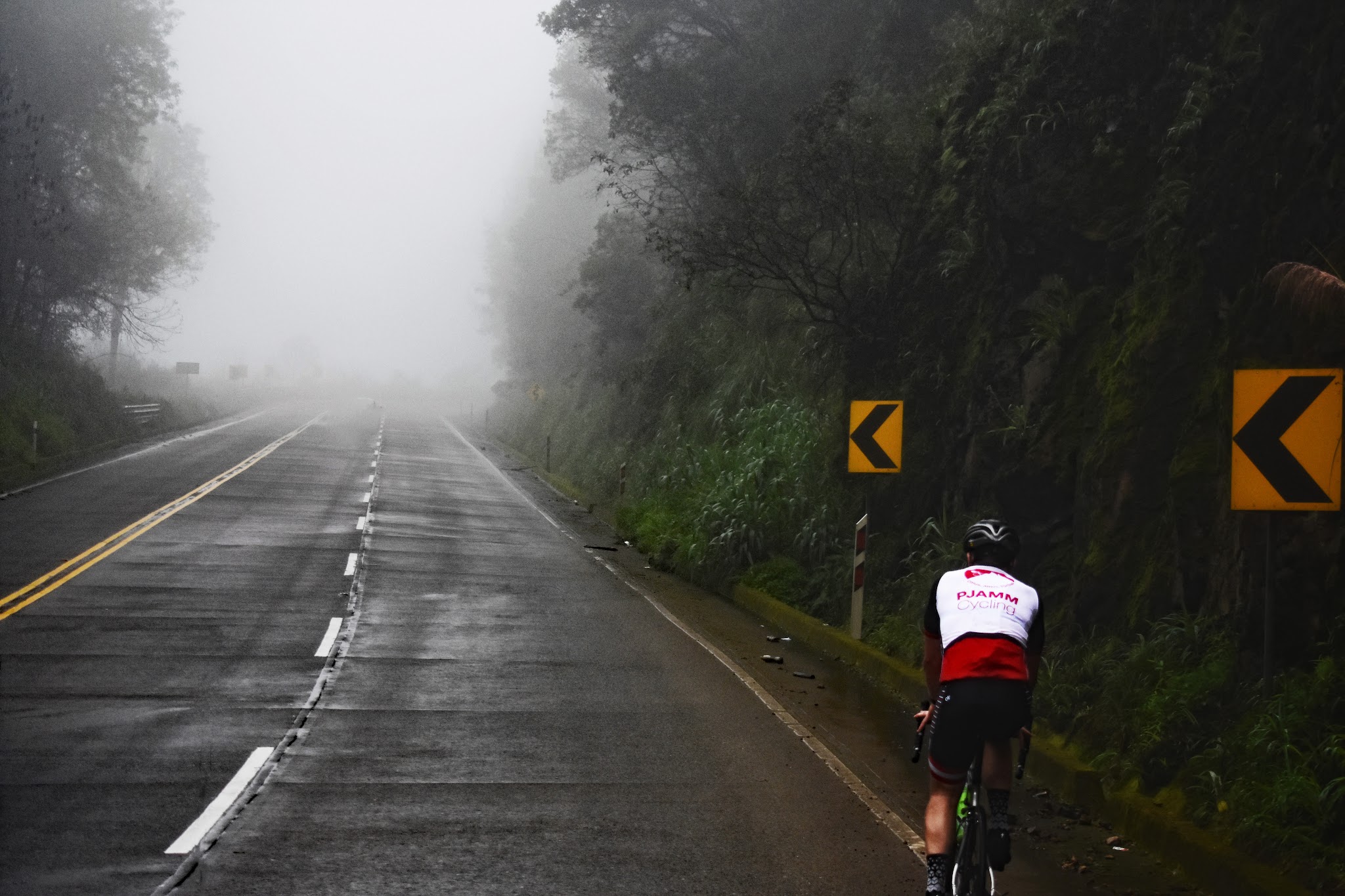 Cycling top world bike climb La Muerta, Ecuador, cyclist on road surrounded by forest.