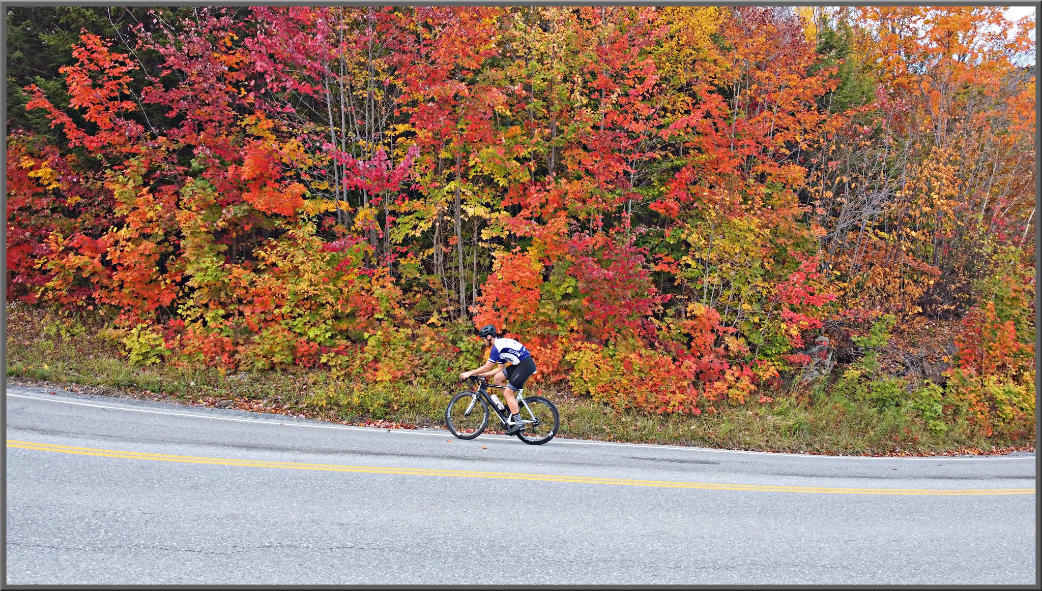 Cycling Appalachian Gap East, Vermont - cyclist riding on steep portion of roadway surrounded by bright fall foliage