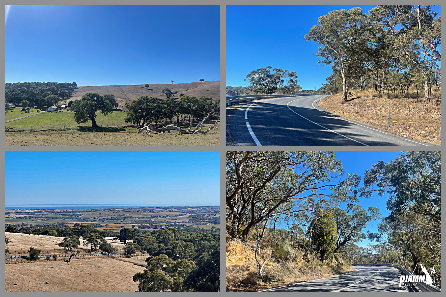 views along climb show lots of dry pastureland, eucalyptus trees