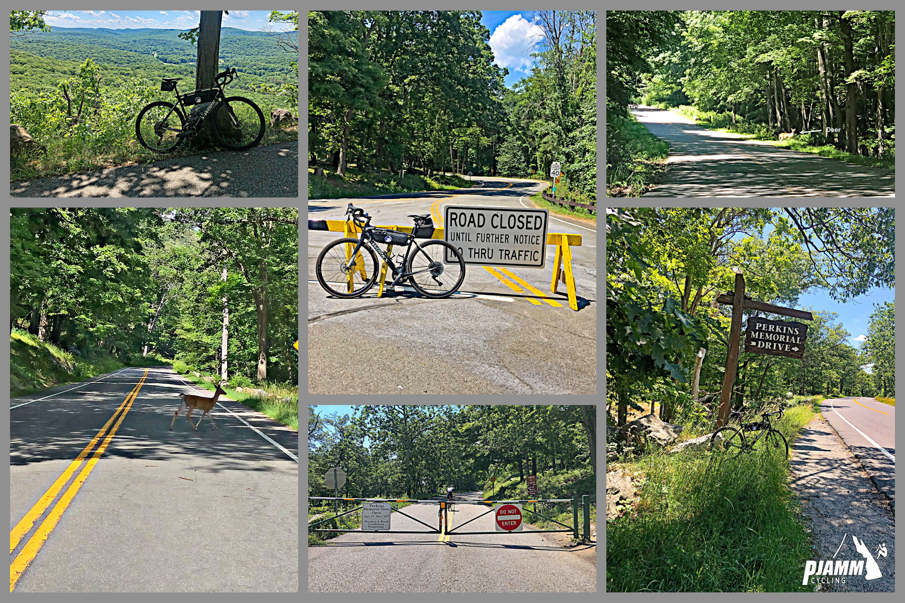 Cycling Bear Mountain, New York - photo collage, bike parked in front of road closure sign, bike parked against tree overlooking panoramic views of dense foliage covered hillsides, a deer crossing the street, PJAMM Cycling logo in corner