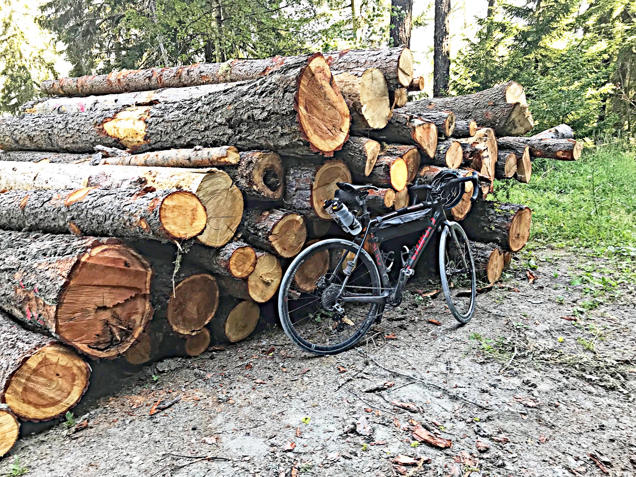 Bicycle ride Breithorn - log pile and bike