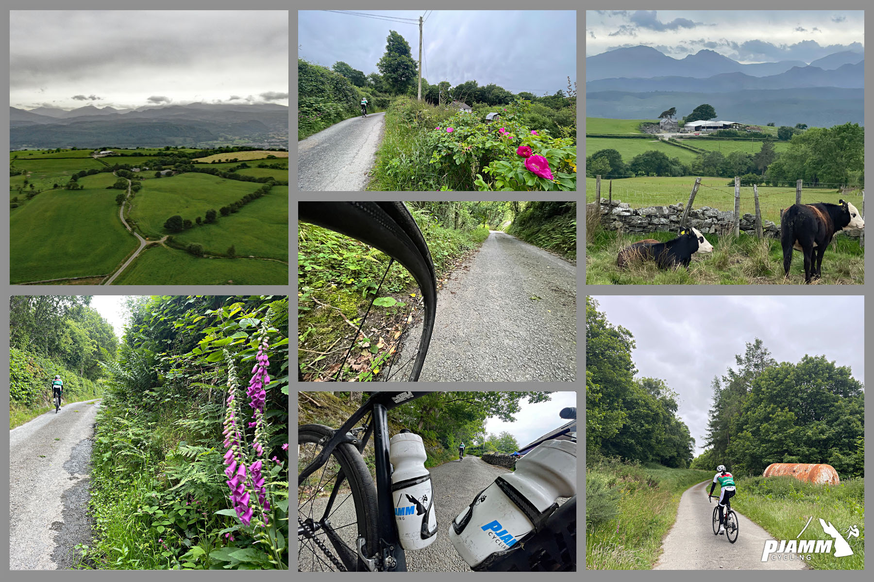 photo collage shows views along the climb route: pink foxgloves, green pastureland 