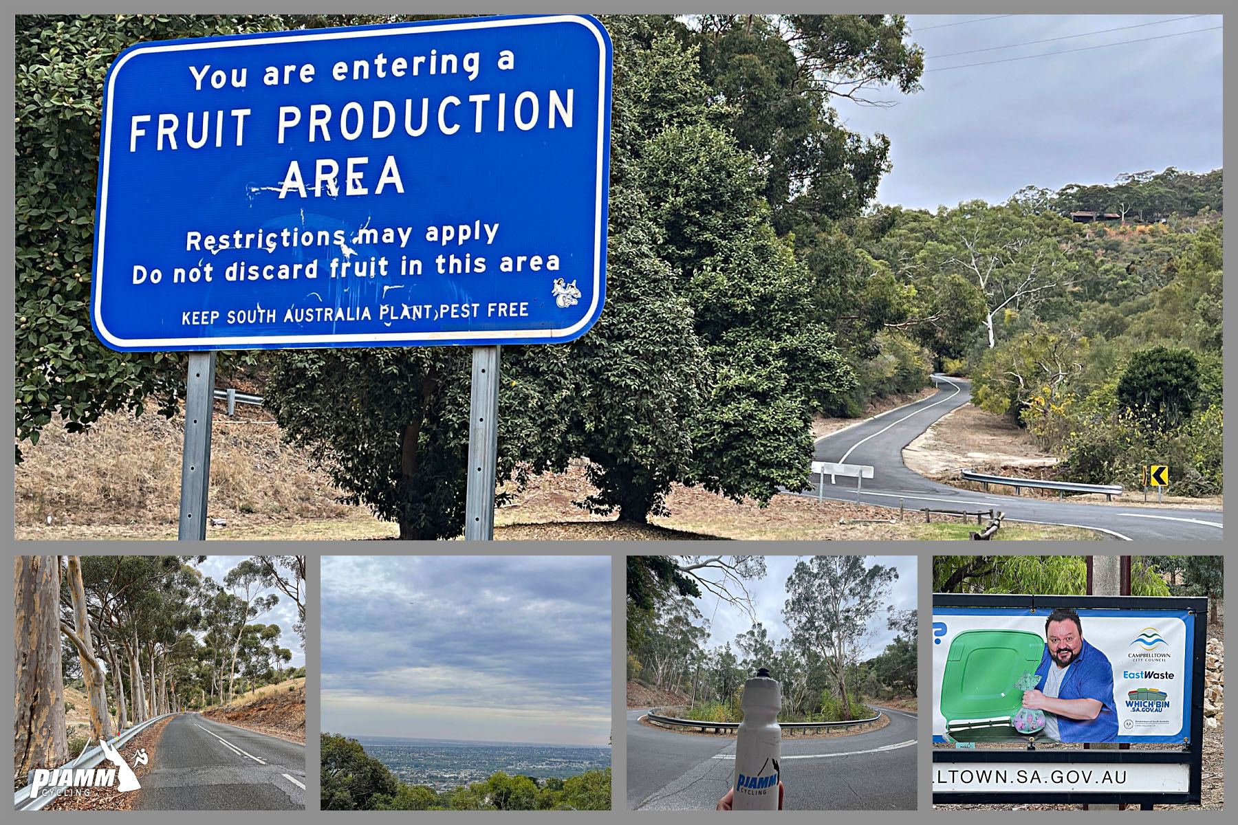 photo collage includes street sign reading "You are entering a Fruit Production Area"'; eucalyptus lined roadways, PJAMM water bottle in front of hairpin turn in roadway
