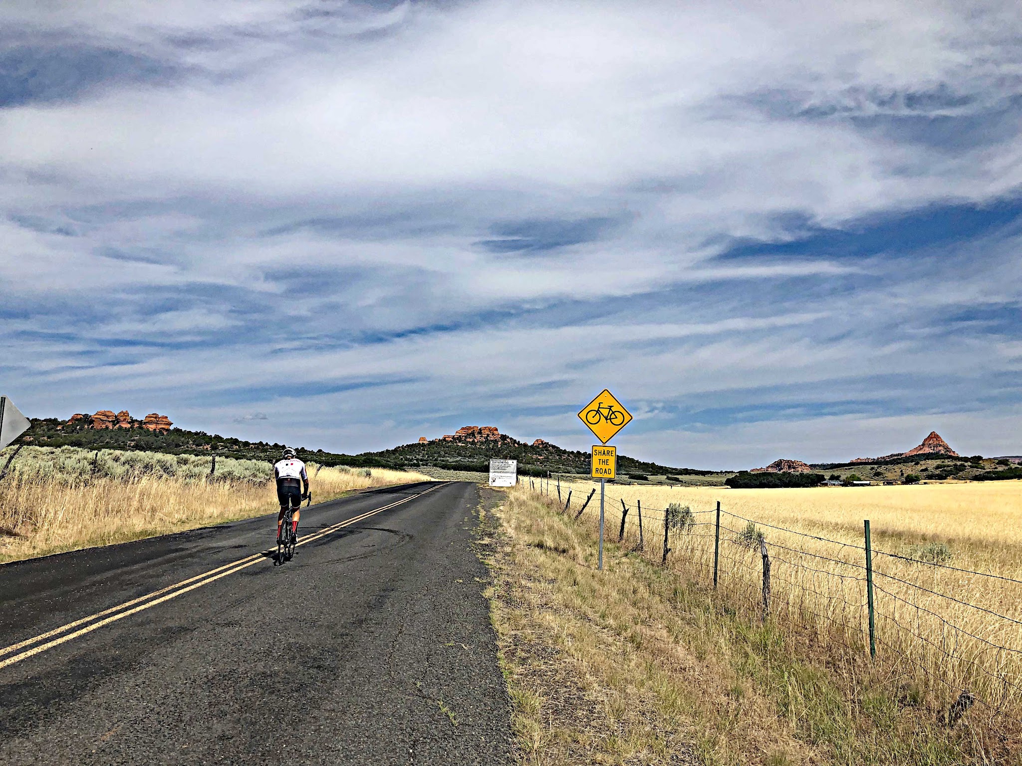Bicycle ride Kolob Terrace Road - cyclist on road riding past Share the Road Sign