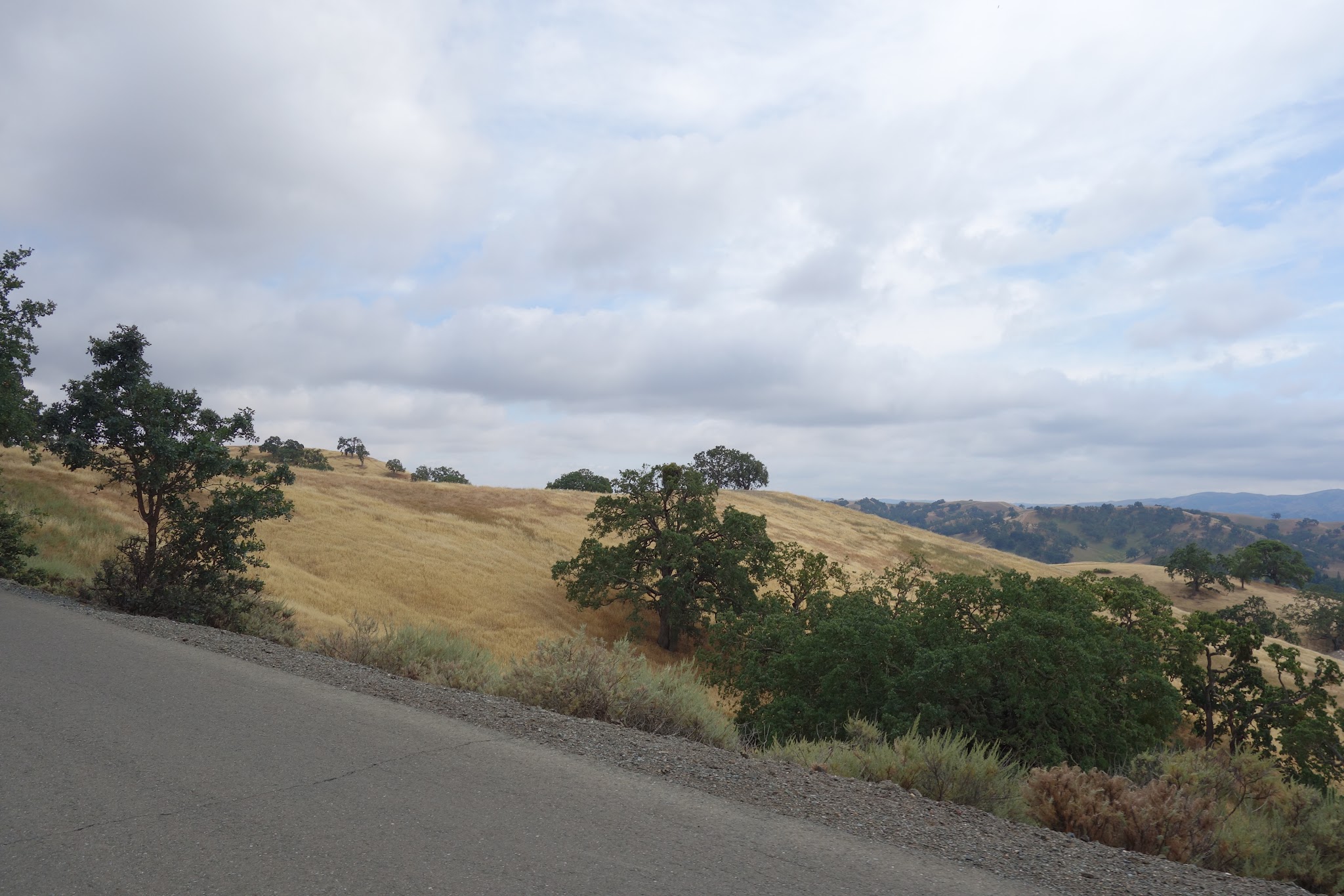Climbing by bike Mt. Diablo - South Gate - views along climb