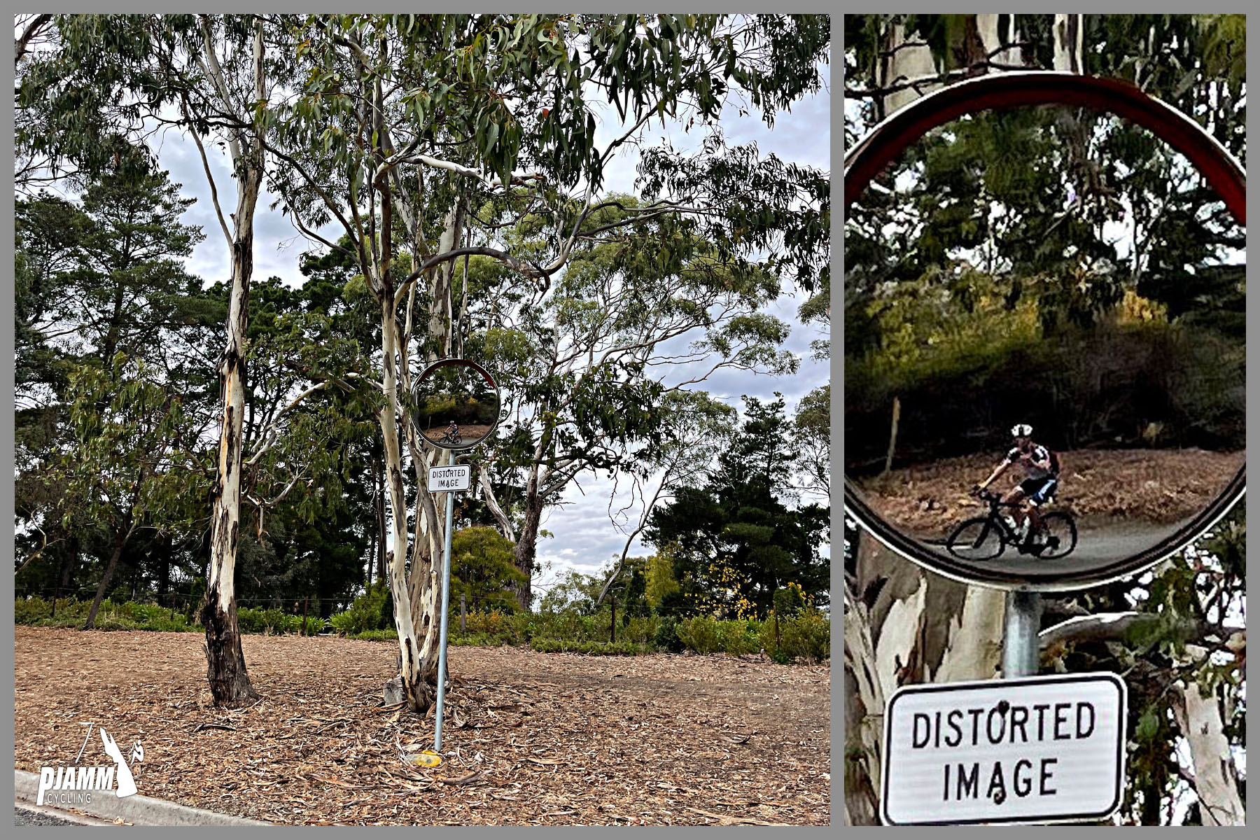 Cycling Coach House Drive and Woodland Way, South Australia PJAMM Cycling's Brad Butterfield takes a selfie in roadside mirror while riding his bike; sign below mirror reads "Distorted Image"