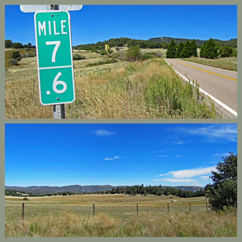 Climbing Palomar Mountain east by bike - views of open fields and cattle. 