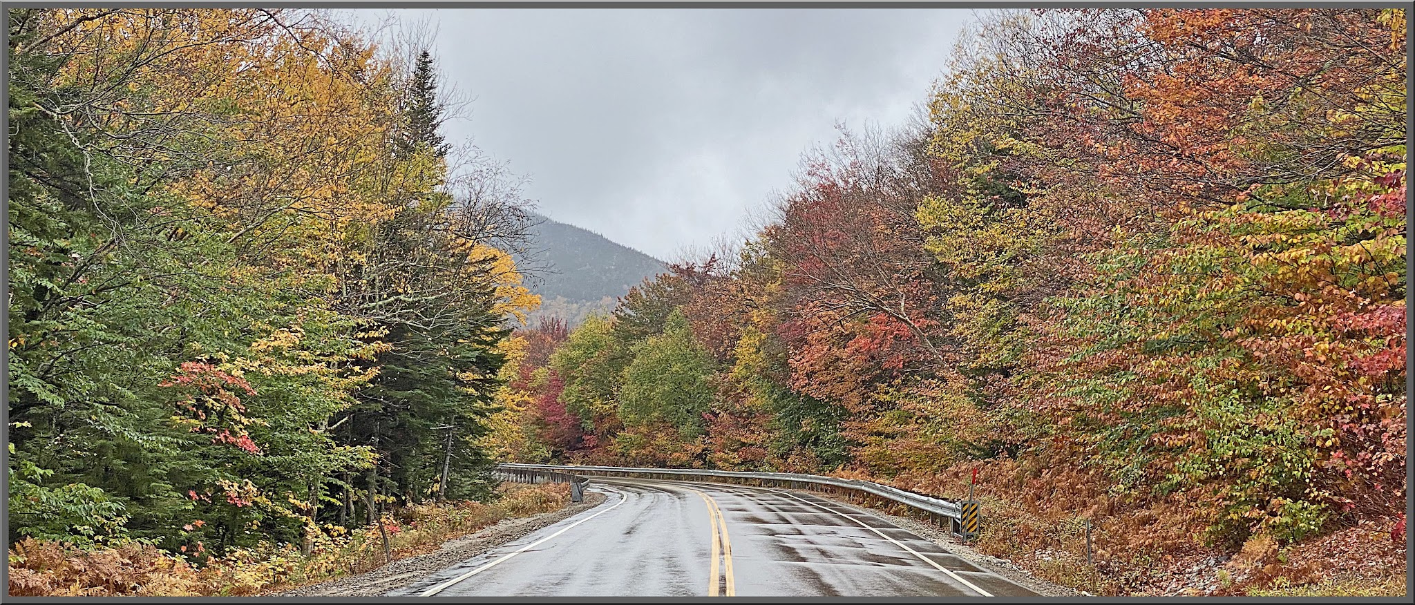 Cycling Kancamagus East (Conway), New Hampshire - wet two-lane road surrounded by very dense yellow, orange, and red fall foliage