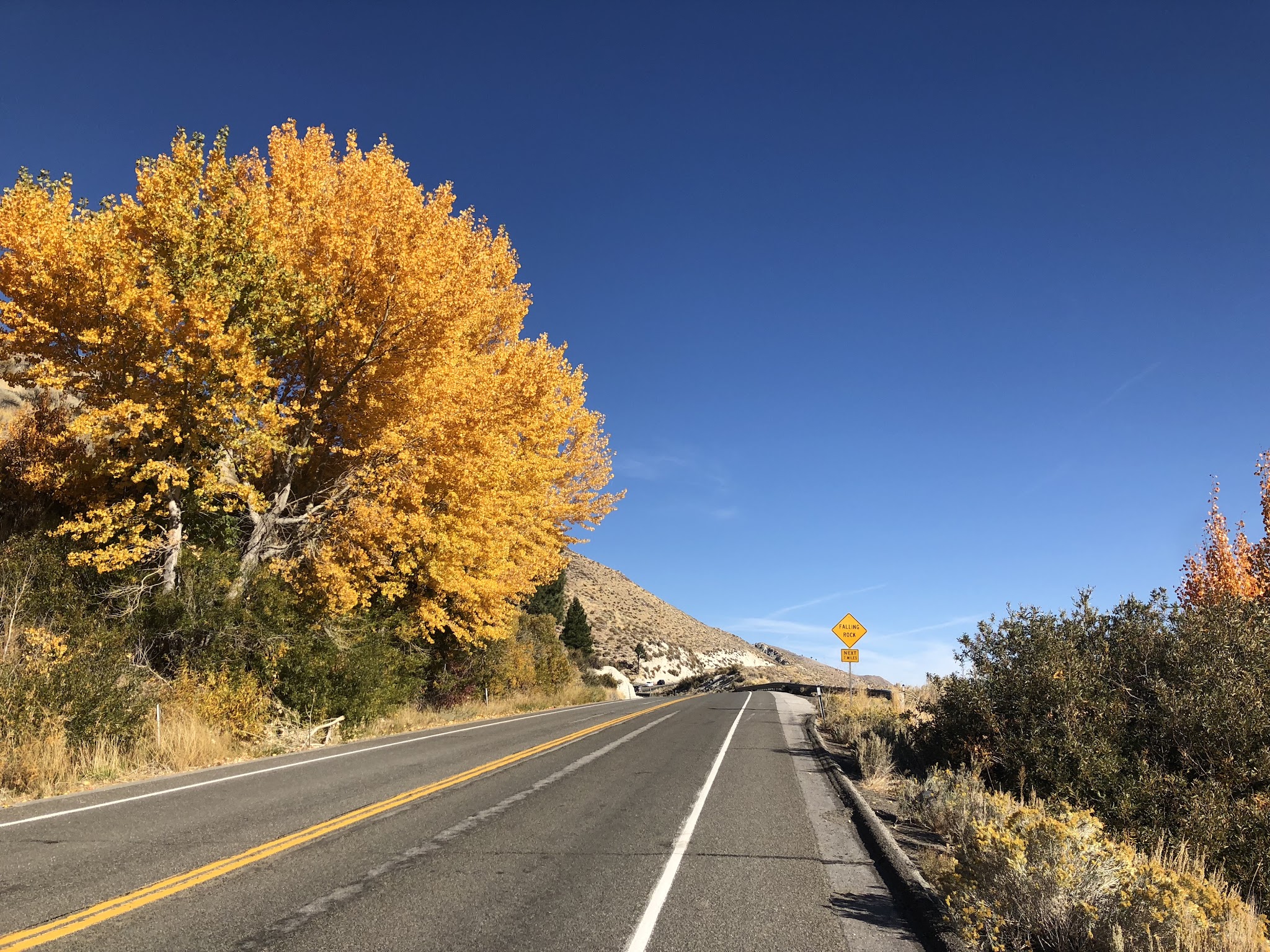 Fall colors on the Kingsbury Grade, Hwy 207