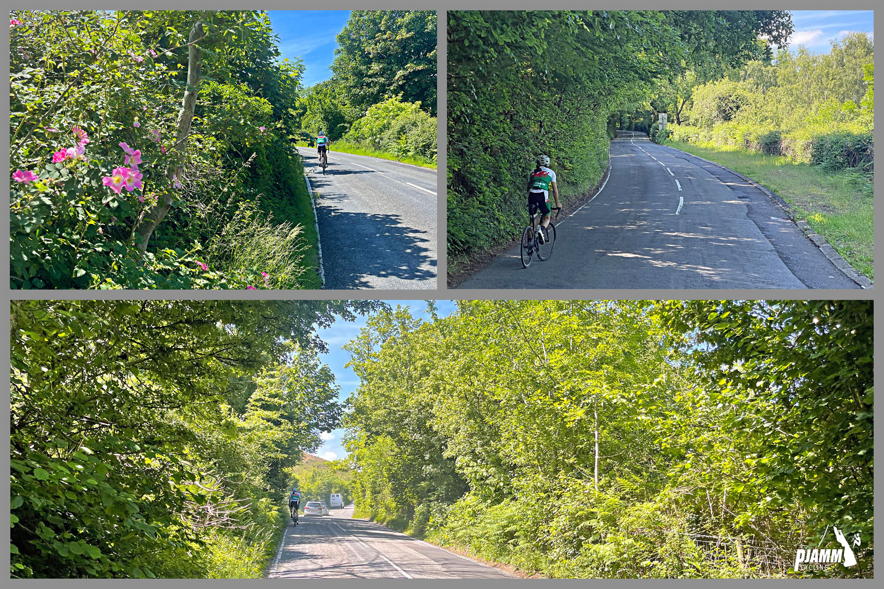 photo collage shows PJAMM Cyclists riding in forest and foliage lined roadway on the first third of the climb