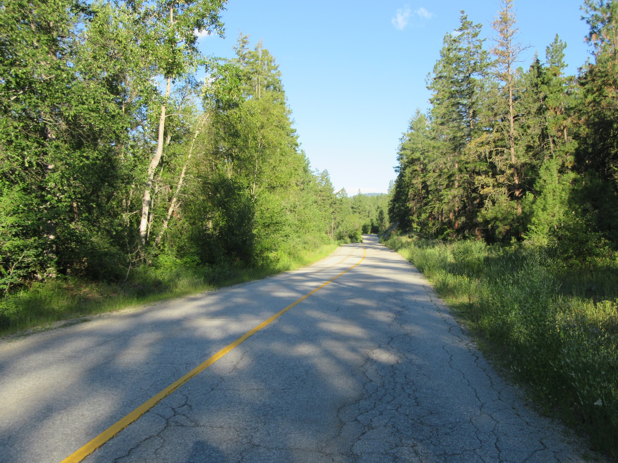 Biking Apex from Penticton - road bordered by trees. 