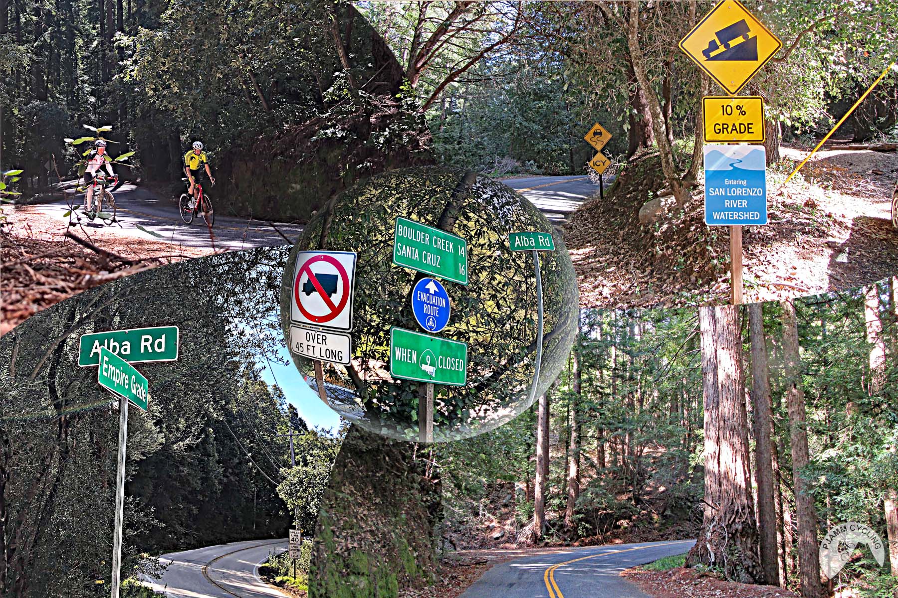 Cycling Alba Road - riding through redwoods; alba schoolhouse
