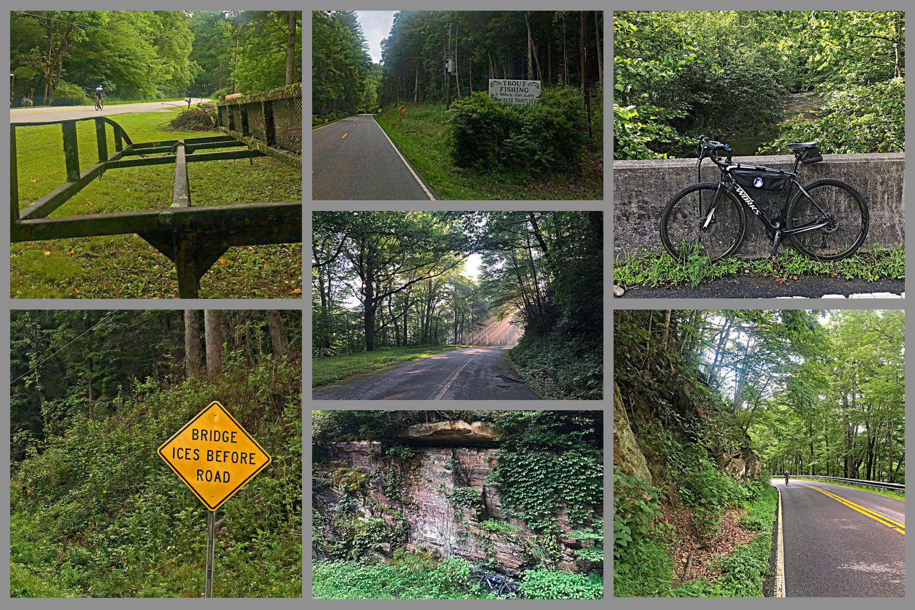 Climbing Mt. Mitchell by bike - photo collage, dense green forest land, road surrounded by greenery, bicycle leaning against low grey retaining wall, road sign saying Bridge Ices Before Road