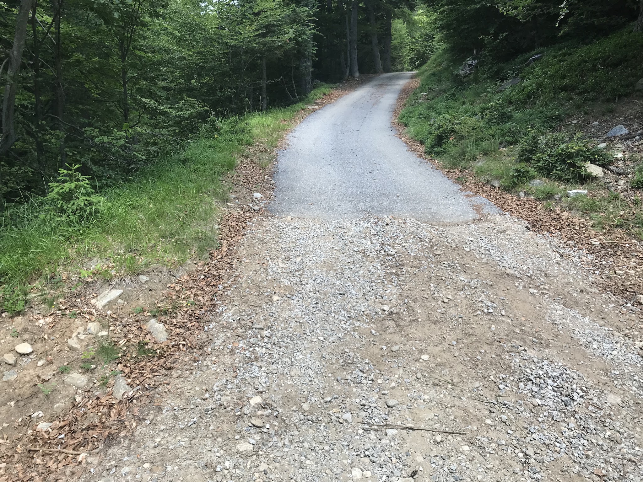 Bicycle climb up Alpe Fuori  - gravel road