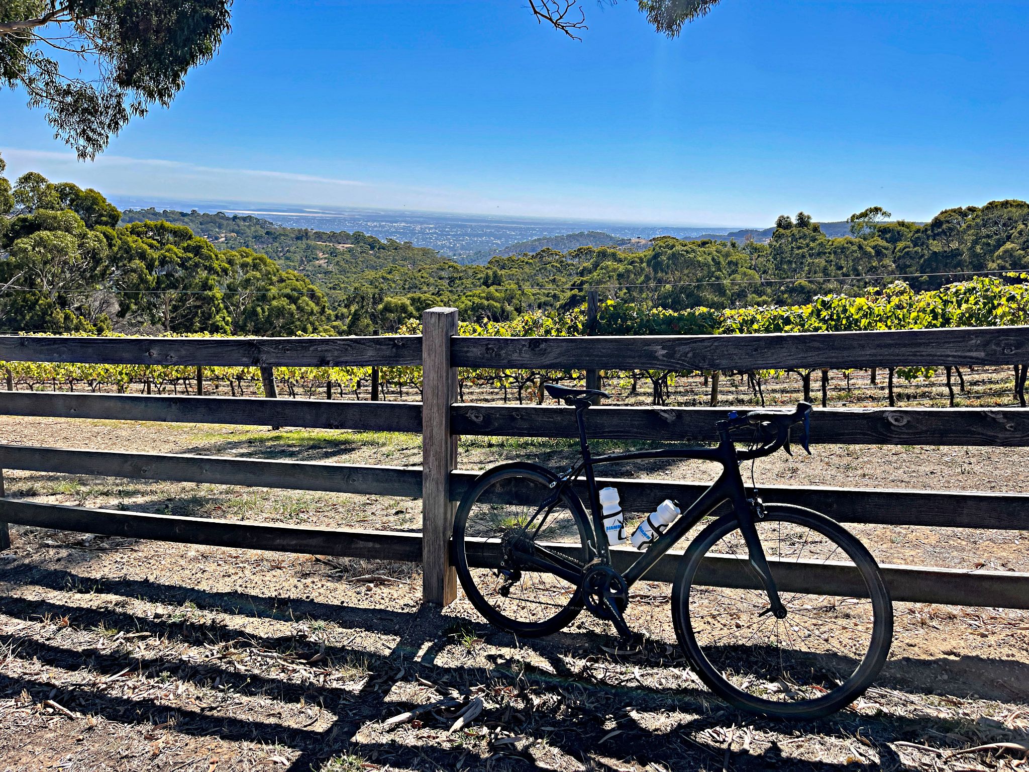 bike leans against wooden fence in front of vineyards