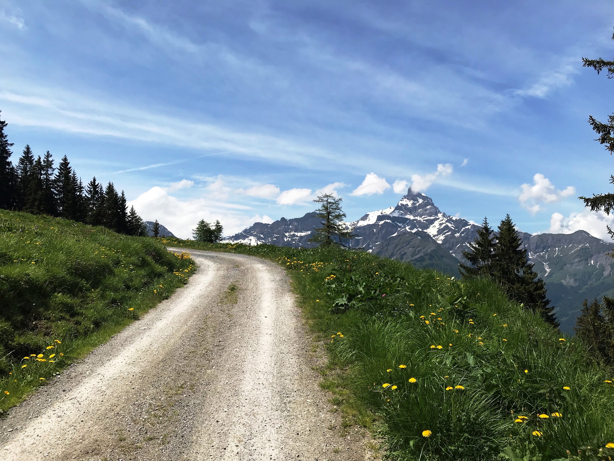 Rionda Bike Climb - La Cime de l'Est, gravel road, flowers and grass