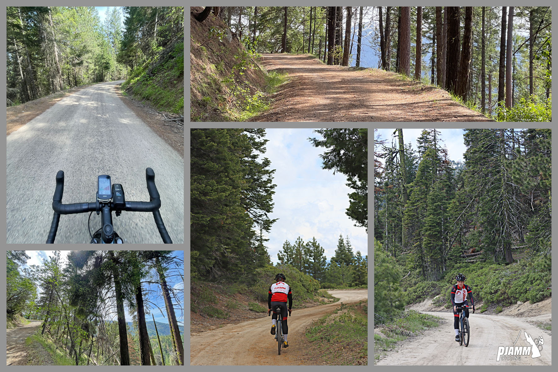 Cycling Mt. Ashland, Oregon via Loop Road: photo collage shows PJAMM Cyclist riding on well-maintained, smooth gravel roadway lined with pine trees