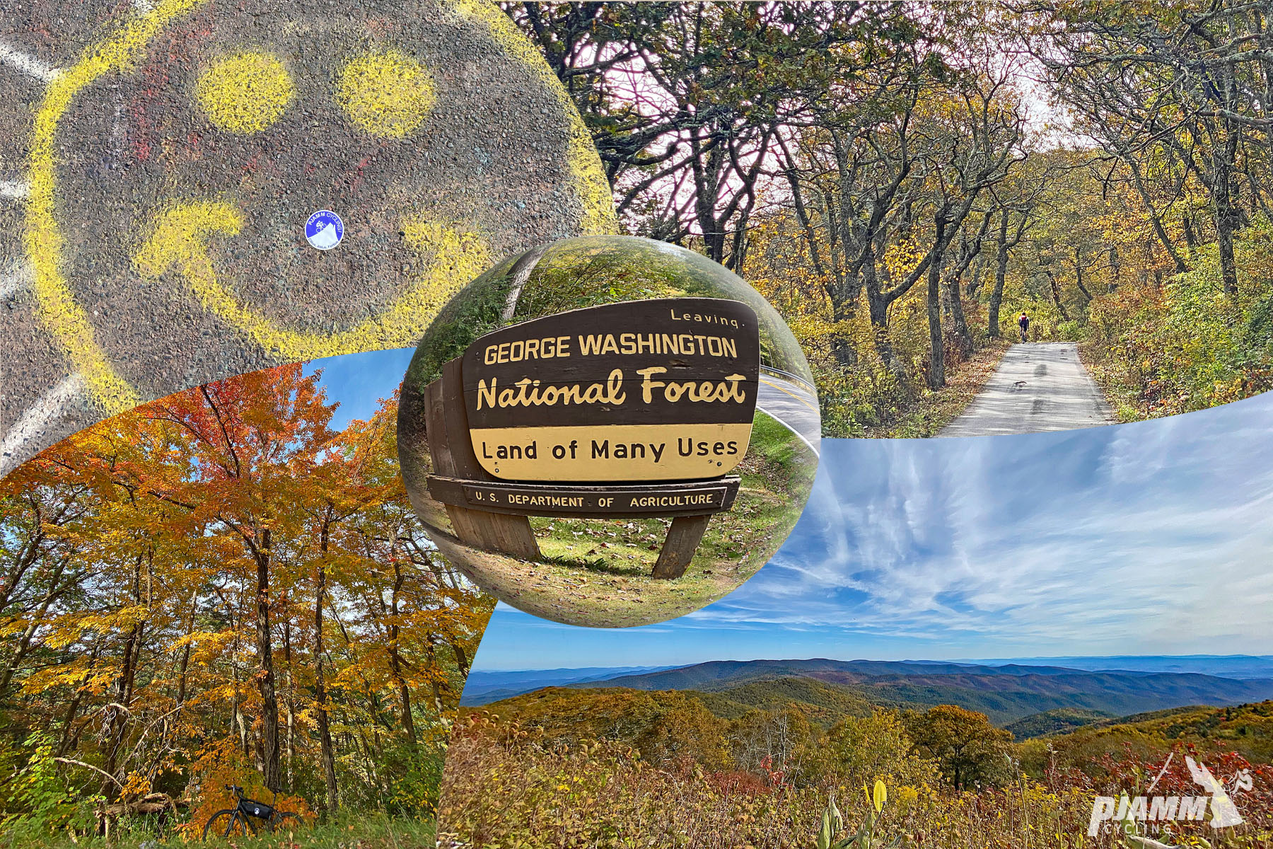 Cycling Reddish Knob, Virginia - photo collage, NPS sign for George Washington National Forest "Land of Many Uses", bright fall foliage, PJAMM Cycling logo in corner