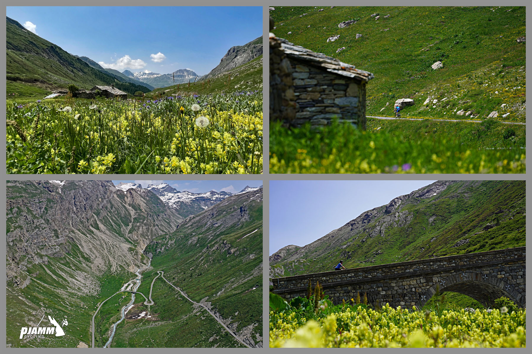 Cycling Col de L'Iseran: photo collage shows yellow wildflowers in meadow at kilometer 4.9