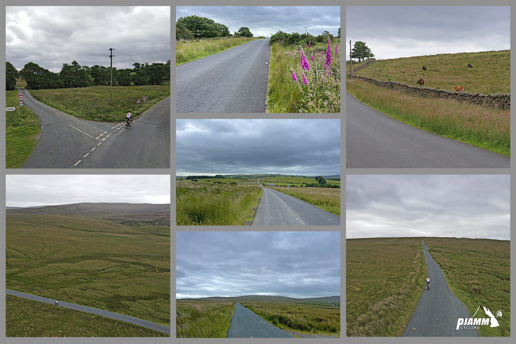 photo collage, wide open spaces and unobstructed views of pastureland
