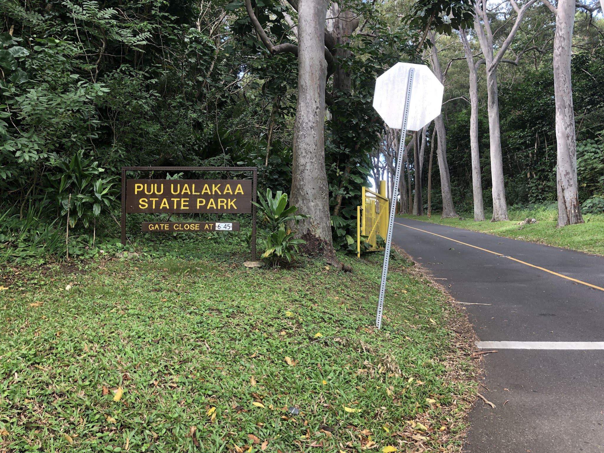 Climbing Round Top Drive - Puu Ualakaa State Park