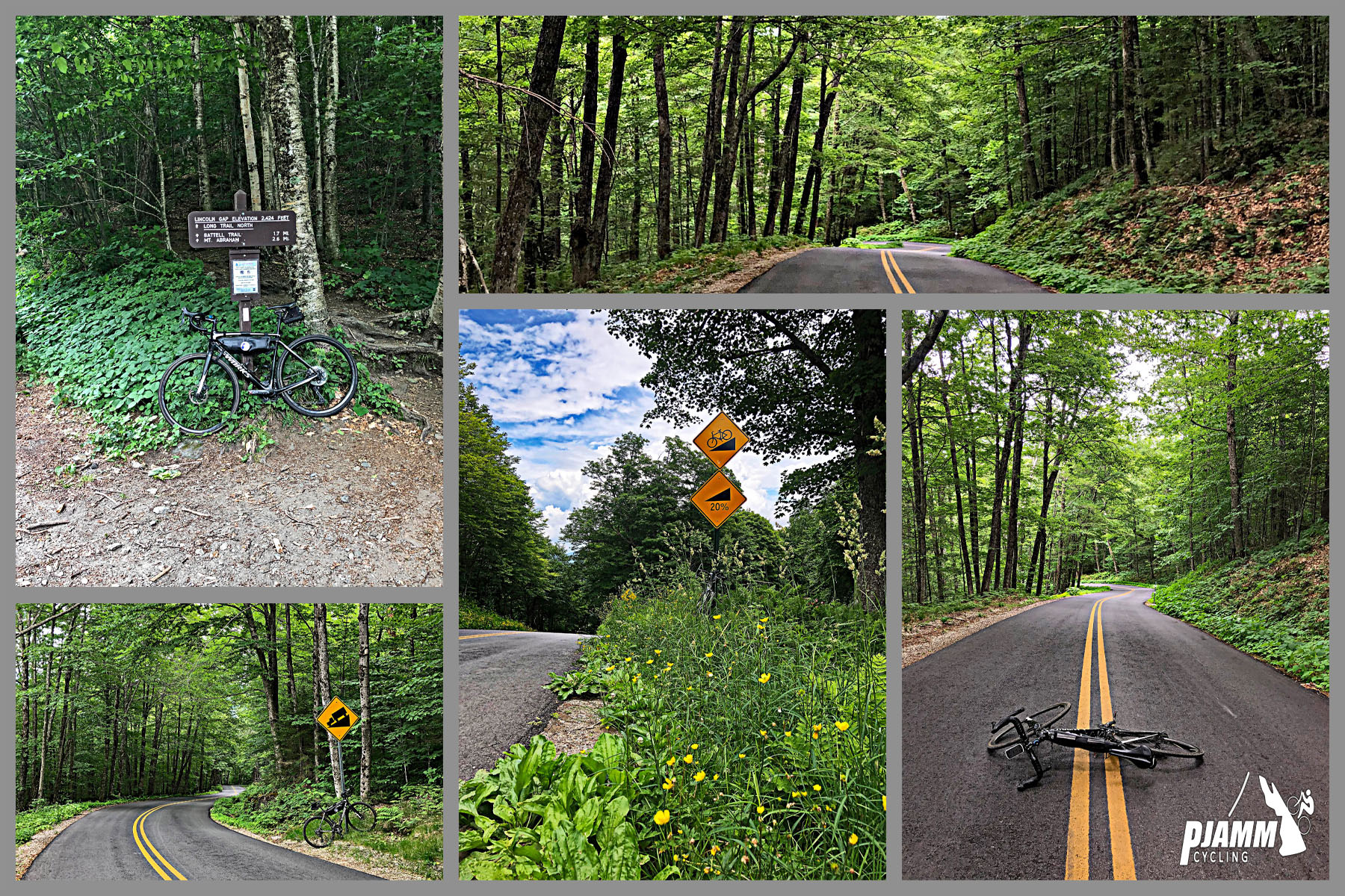 Cycling Lincoln Gap East - photo collage, bike propped against Lincoln Gap trail sign, dense tree canopy along two lane road, curve in road with steep grade road sign, yellow flowers in grass along road, bike laying down across double yellow line along a straightaway in the roadway