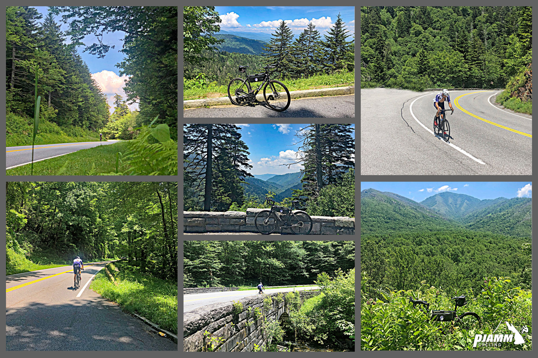 Cycling Clingmans Dome, Tennessee - photo collage, bike parked in front of various scenic mountainous locations along first half of climb, dense foliage and greenery, mountain range in background, PJAMM Cycling logo in corner