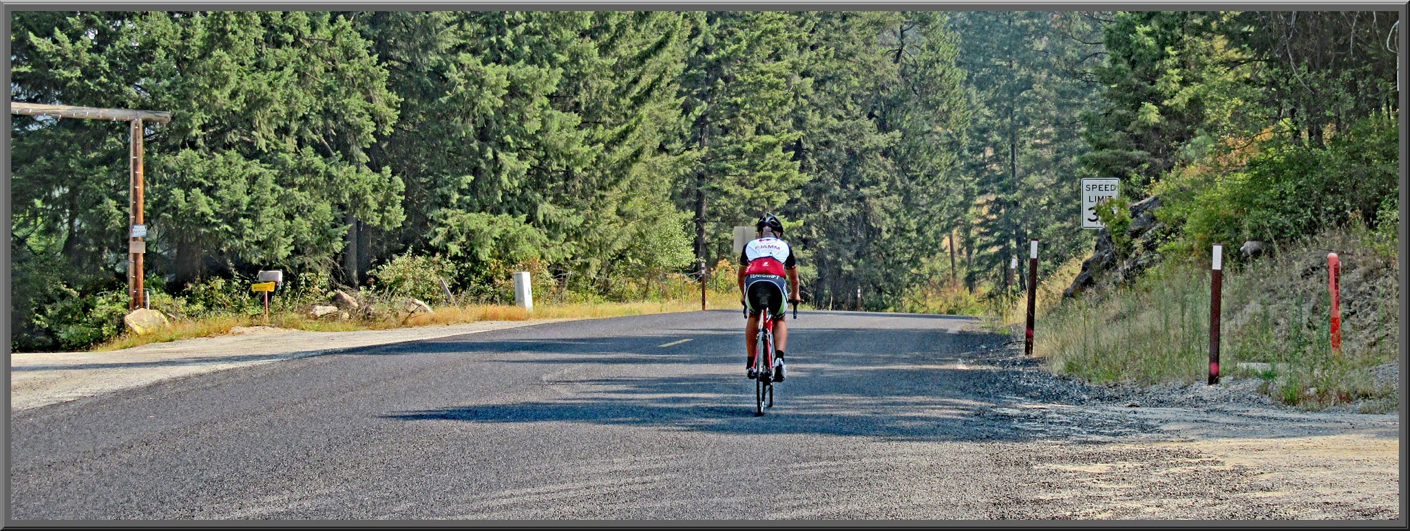 Cycling Mt. Spokane, Washington - cyclist riding on roadway surrounded by evergreen trees