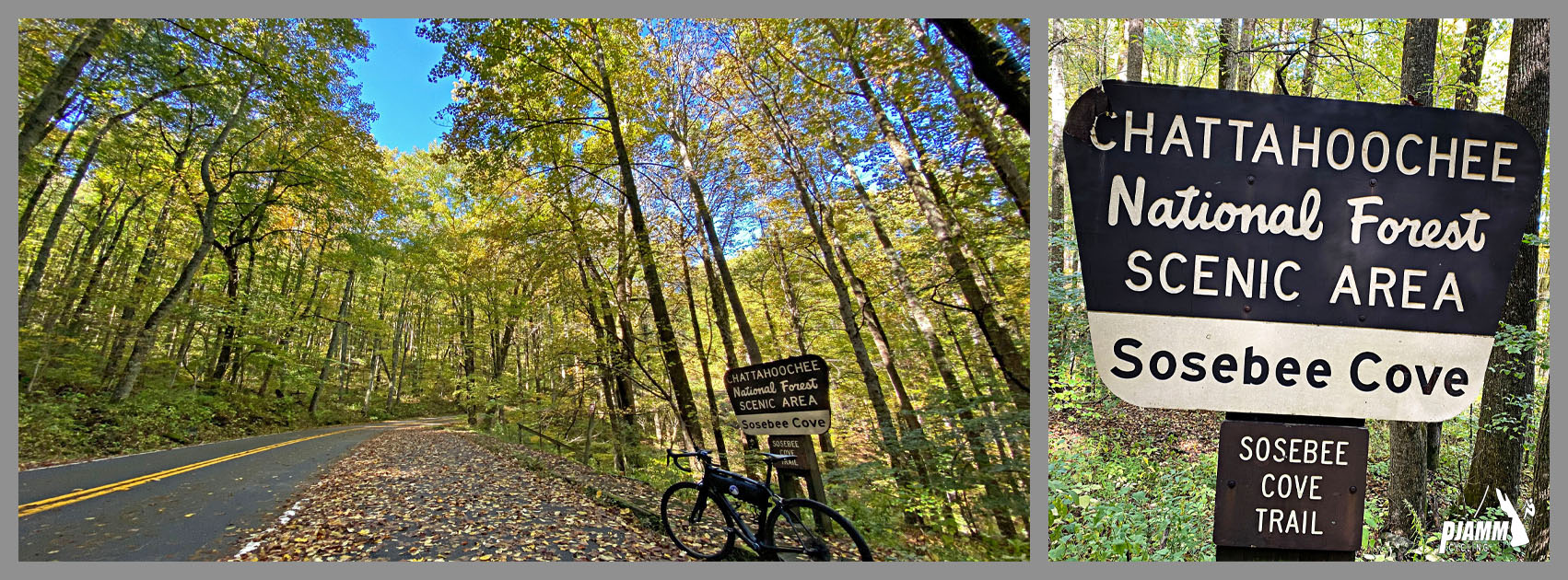 Cycling Wolfpen Gap East, Georgia - bike parked against sign for Chattahoochee National Forest Scenic Area, Sosebee Cove