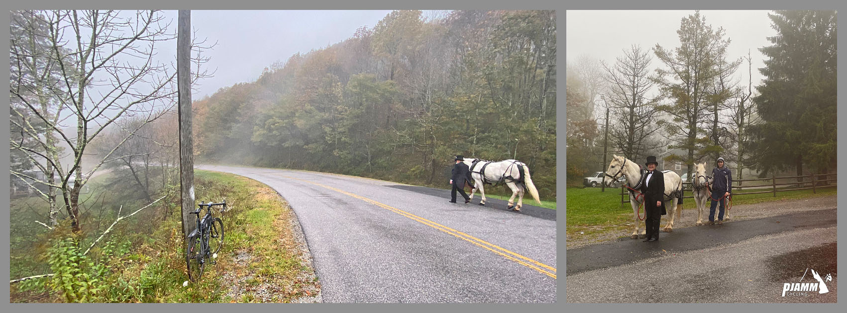 Cycling Doe Creak Road, Route 613, Virginia Cycling Doe Creak Road, Route 613, Virginia - man walking white horse on mist shrouded roadway