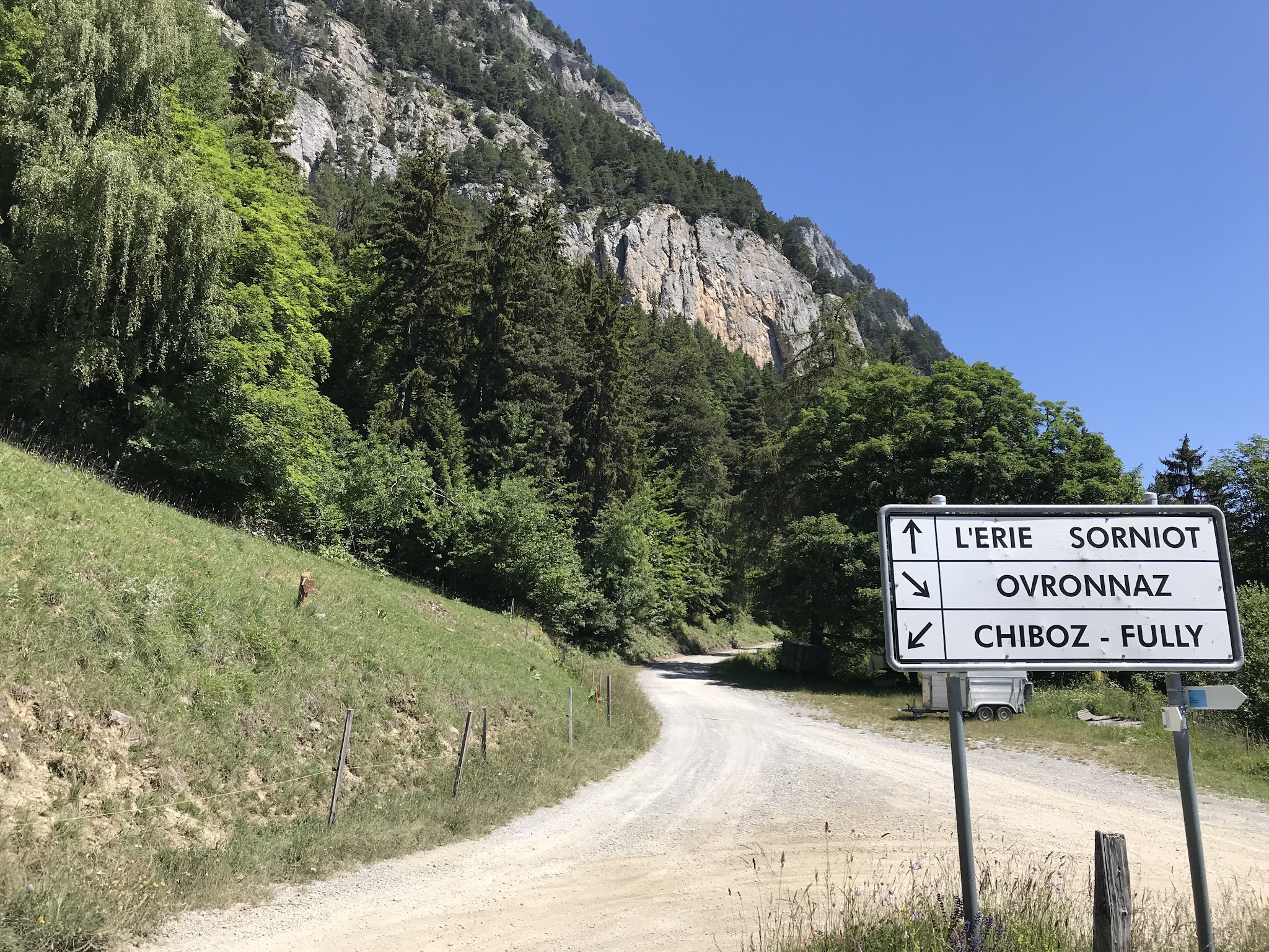 Biking Fully Erie - road and road sign