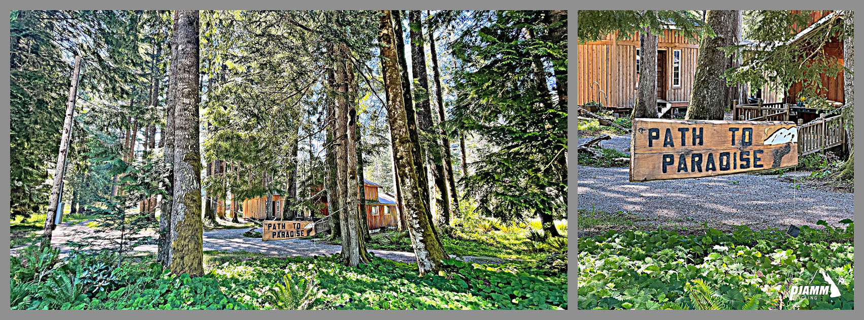 thick pine trees surrounding dirt road with handmade wooden sign reading "Path to Paradise"