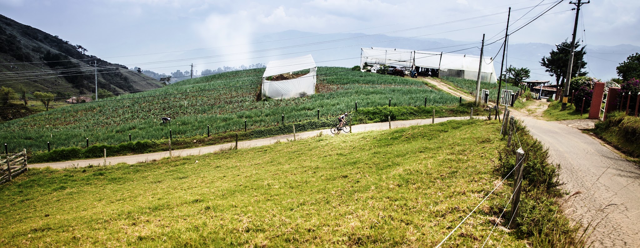 Cycling El Limonar cyclist riding on roadway, fields and road