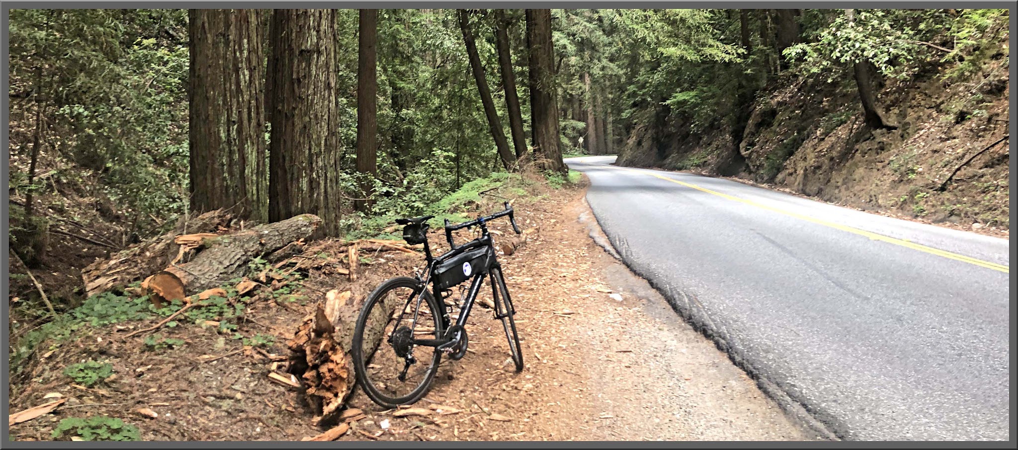 Cycling Felton Empire Road, Santa Cruz County Cycling Felton Empire Road, Santa Cruz County - bike parked in bark area along roadside, dense and tall redwood trees