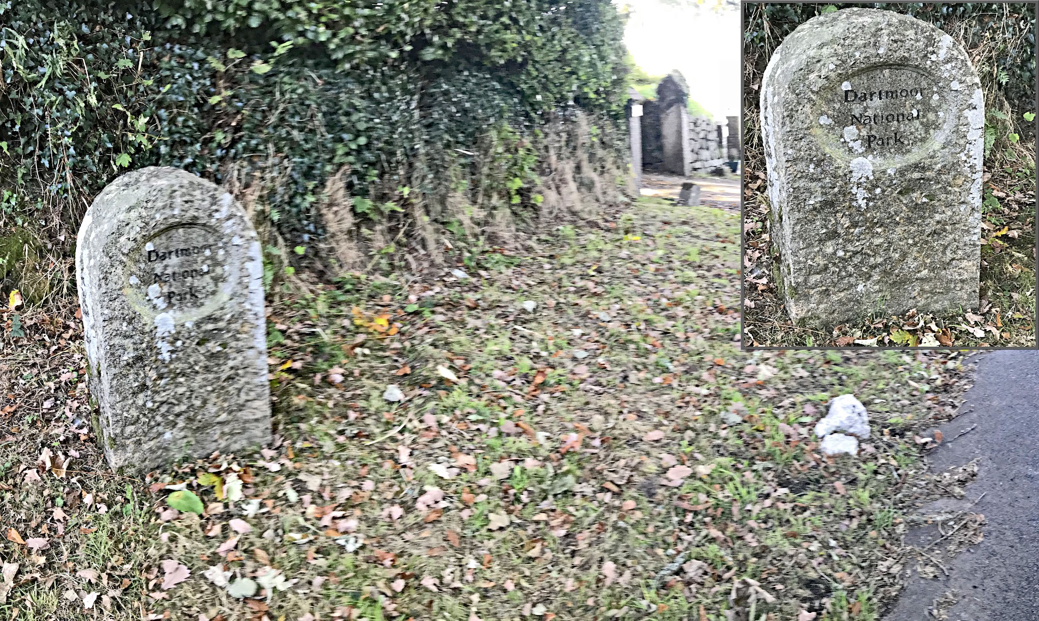 Cycling Rundlestone, England - low stone monument which looks like a headstone but actually is a sign for Dartmoor National Park, lots of fallen leafs along ground, next to tall green hedges