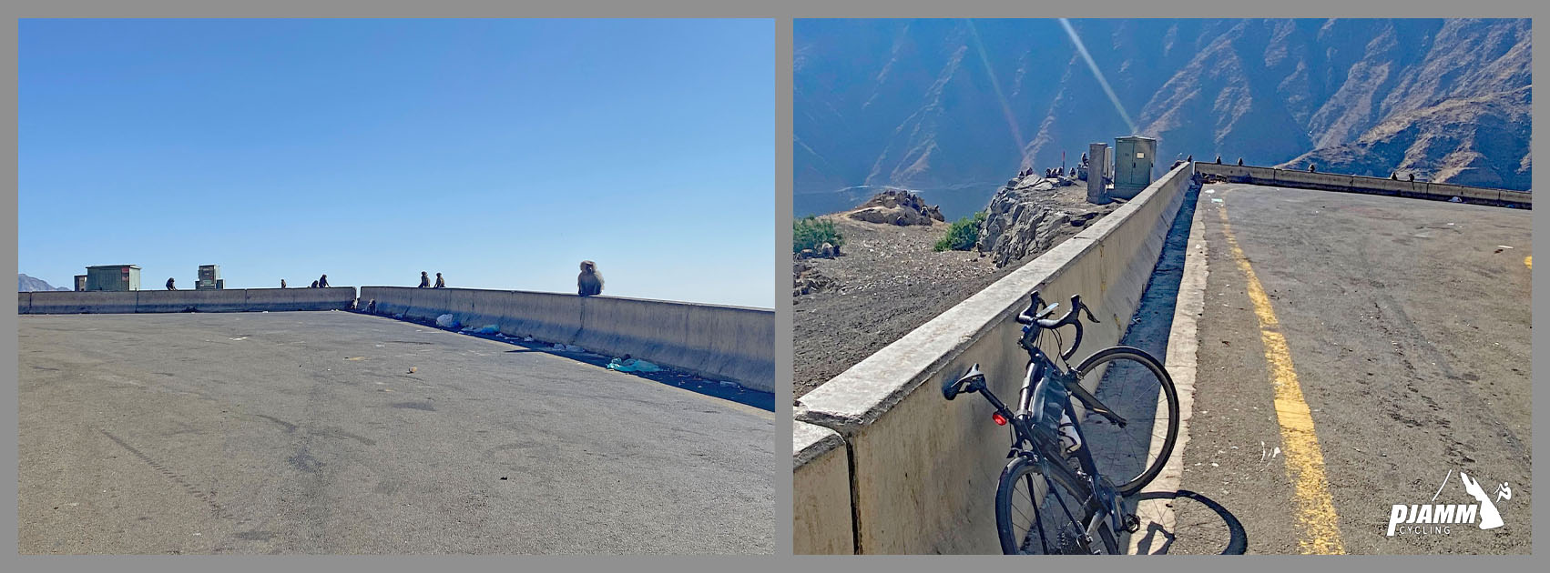 Cycling Al Bahah Pass, Saudi Arabia - babboons sit on retaining wall on mountainside, waiting to be fed trash from passing cars