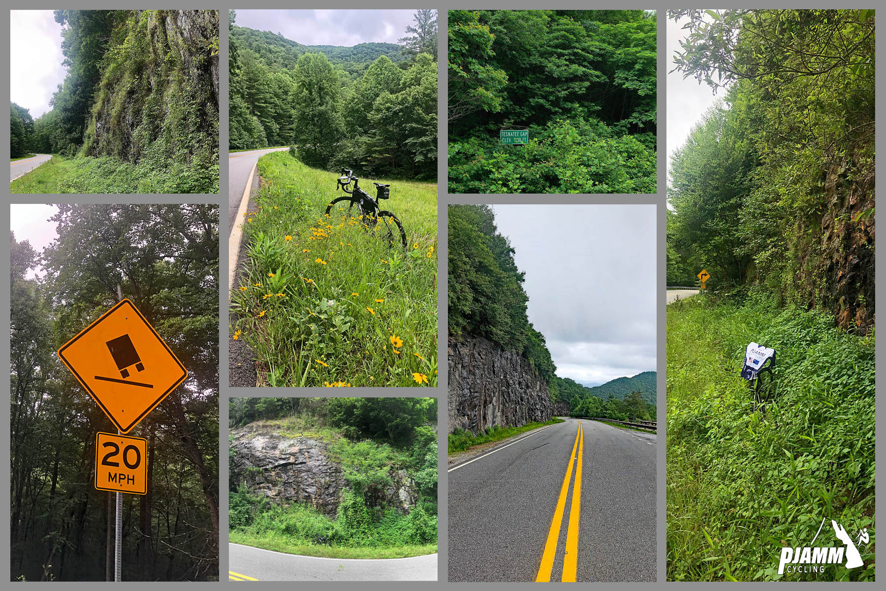 Cycling Hogpen Gap West - photo collage, dense green foliage and greenery surrounding two lane roadways, bike parked in tall grass along side of road next to yellow wildflowers, yellow road sign advertising using caution for large trucks