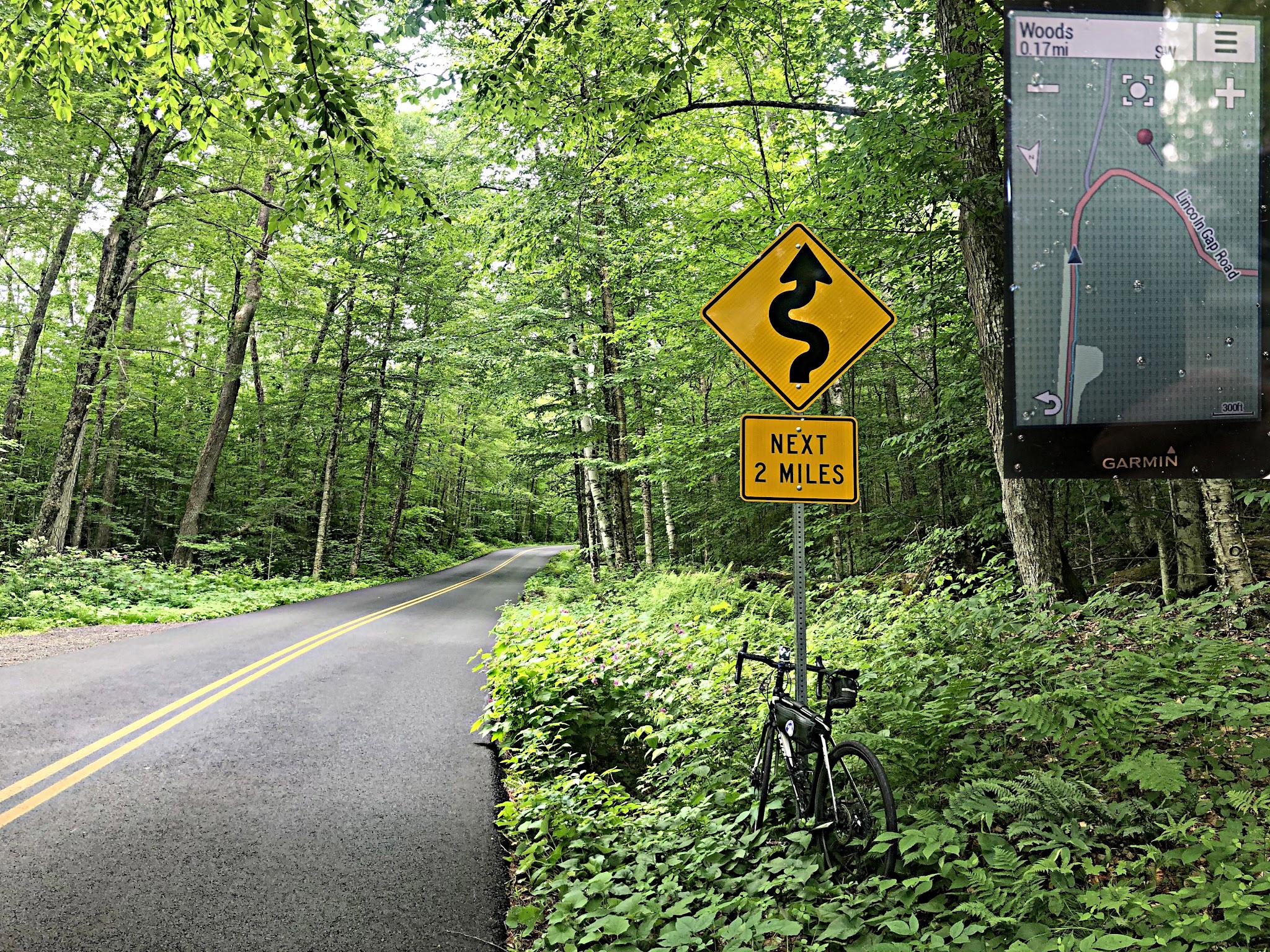 Cycling Lincoln Gap East - dense tree canopy along two lane road, bike propped against road sign noting winding road for next two miles