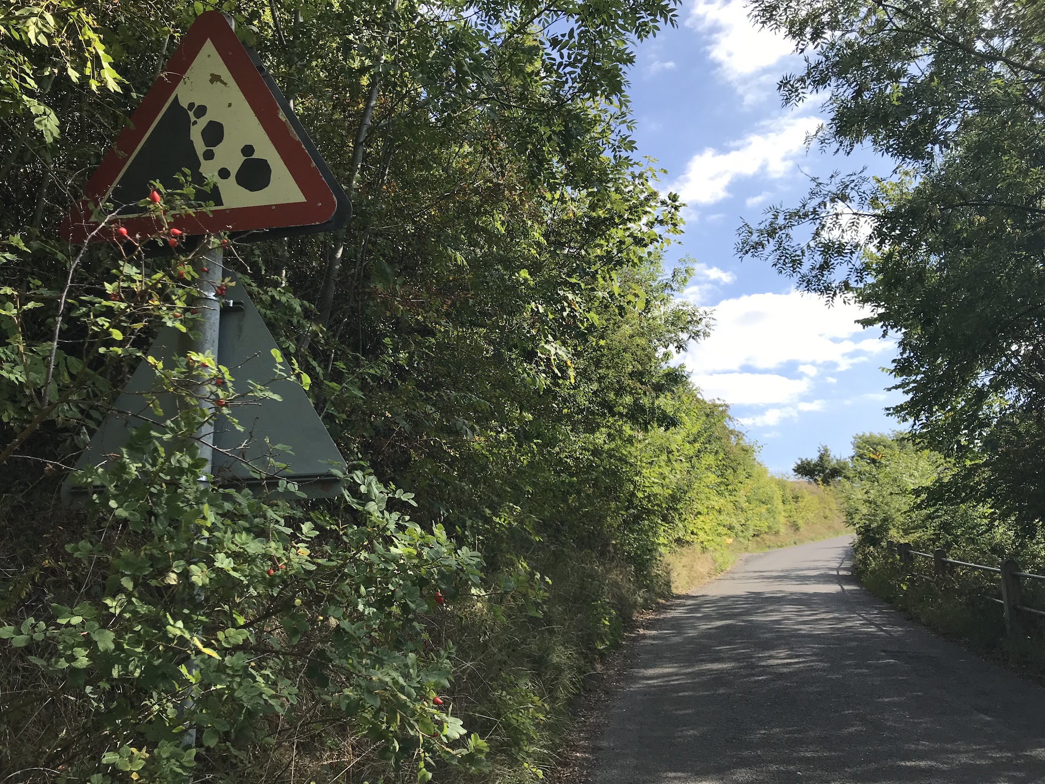 Bike climb Monsal Head #30 100 Greatest Cycling Climbs, Britain - steep road sign, road bordered by trees and brush