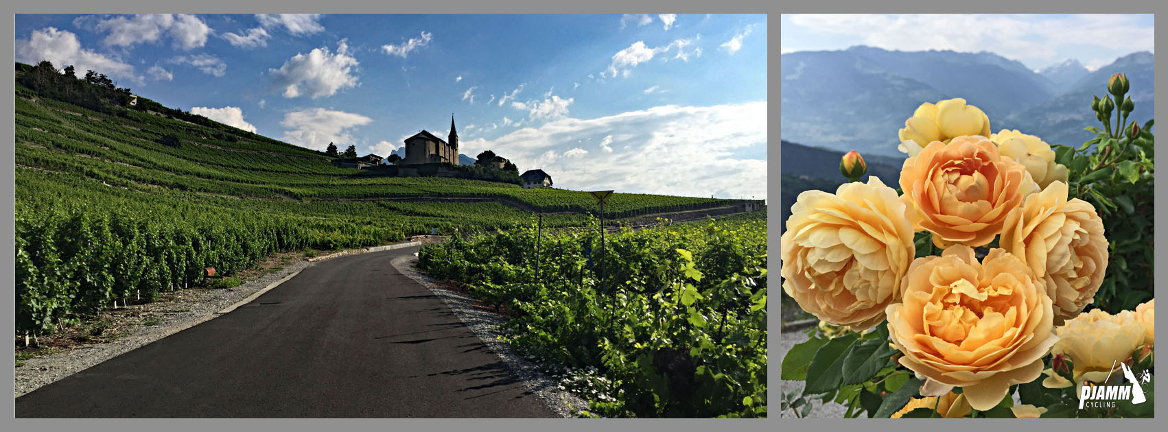 Cycling Sanetsch Pass, Switzerland - Swiss alps town of Chalais, swiss countryside, cream colored roses