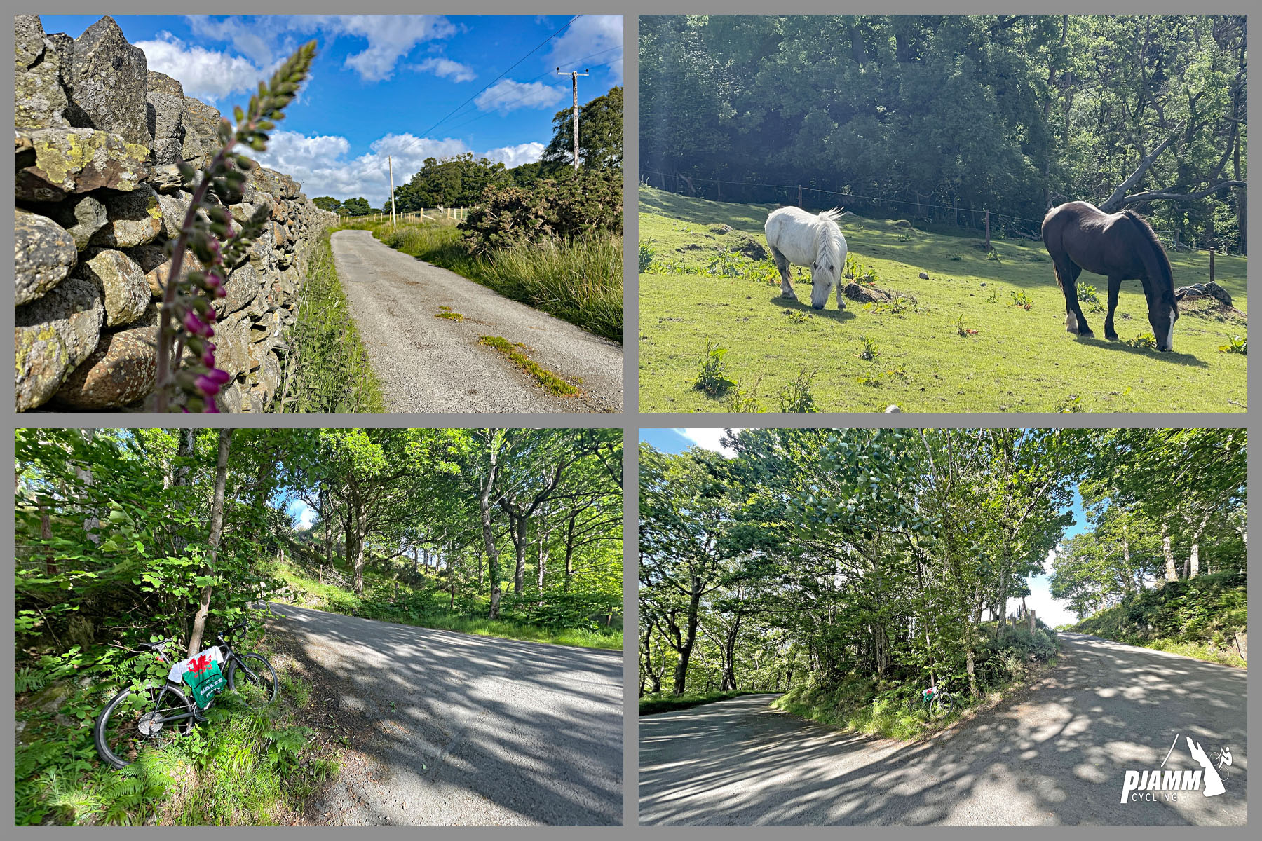 photo collage, white pony grazing in pastureland, switchback curve, stone wall running along roadway