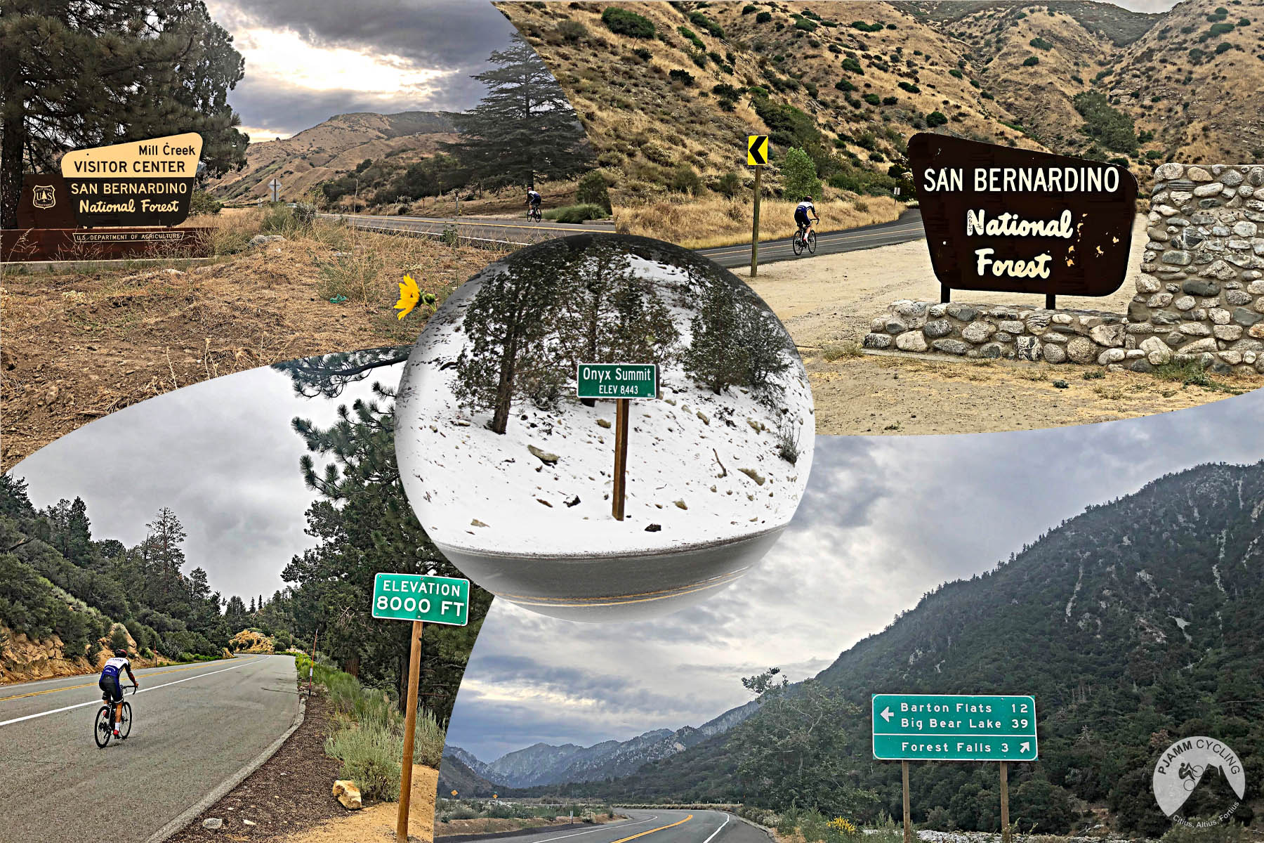Cycling Onyx Summit, California - photo collage, NPS sign for Mill Creek Visitor Center, San Bernadino National Forest, elevation signs, Onyx Summit road sign, snow at summit,  PJAMM Cycling logo in corner