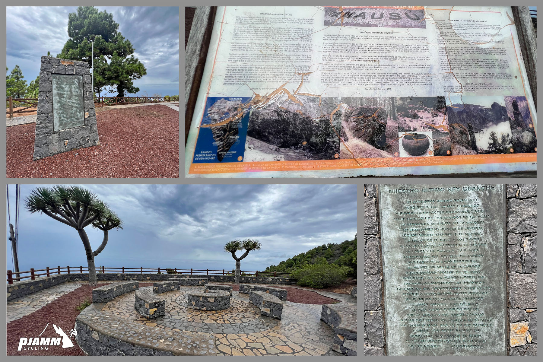 photo collage shows informational sign and Joshua Tree plants at Paqrue Tanausu