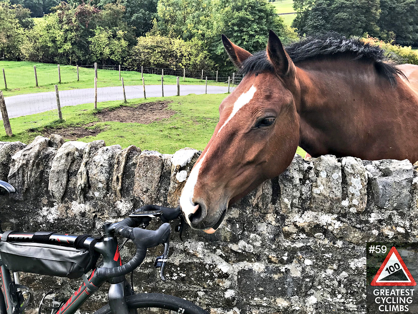 Cycling Crawleyside - brown horse reaching head over stone fence to touch bike, green pastures in background