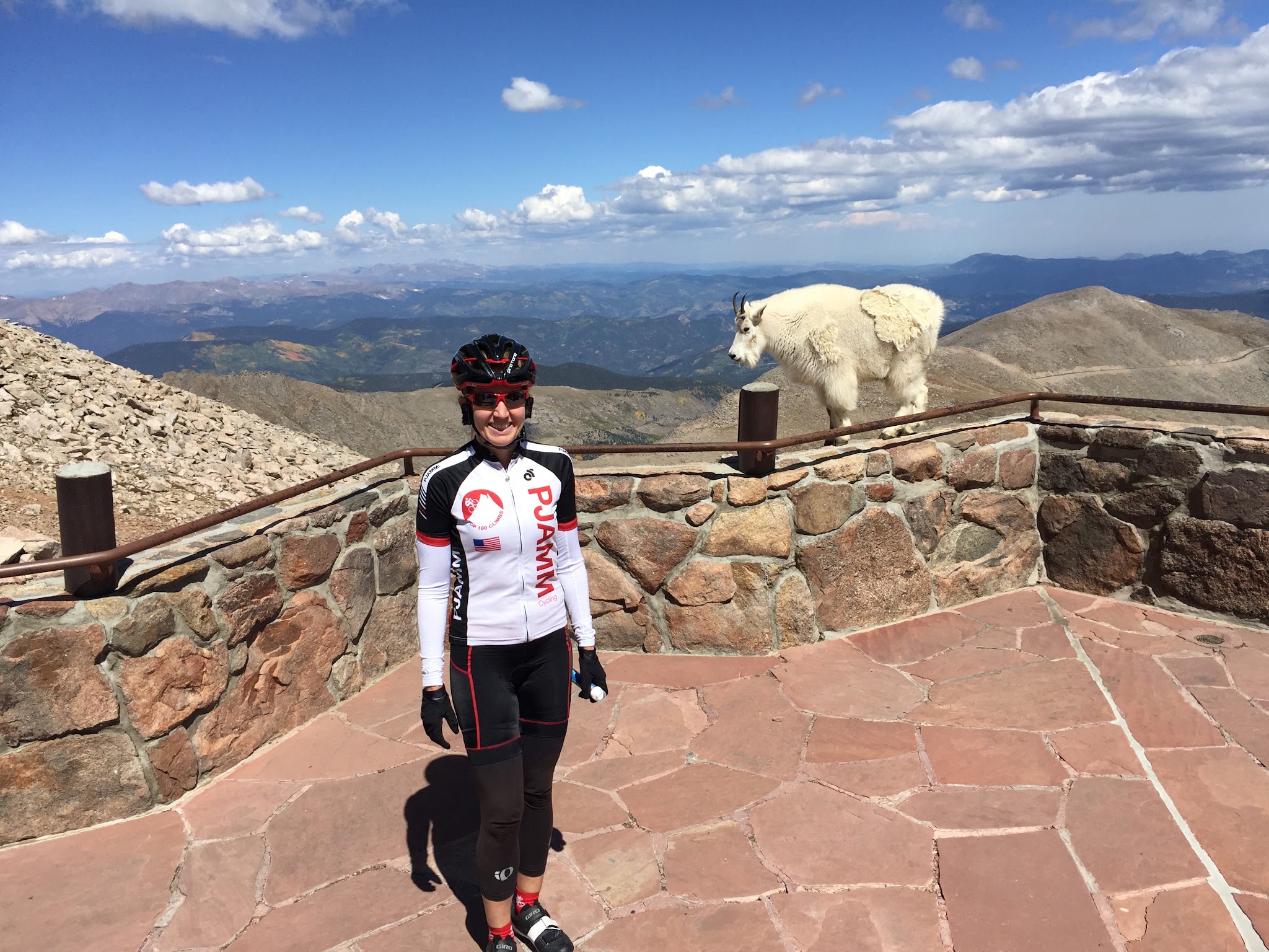 Cyclist and Mountain Goat at Summit of Mount Evans, Colorado