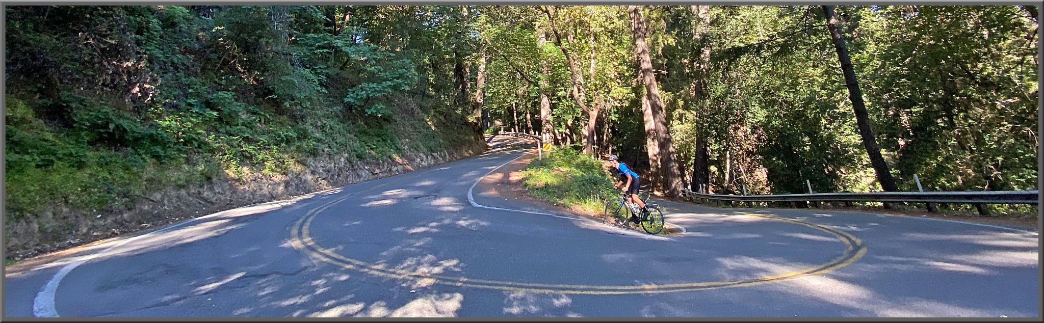 Cyclist riding up "S" curve on forest covered road