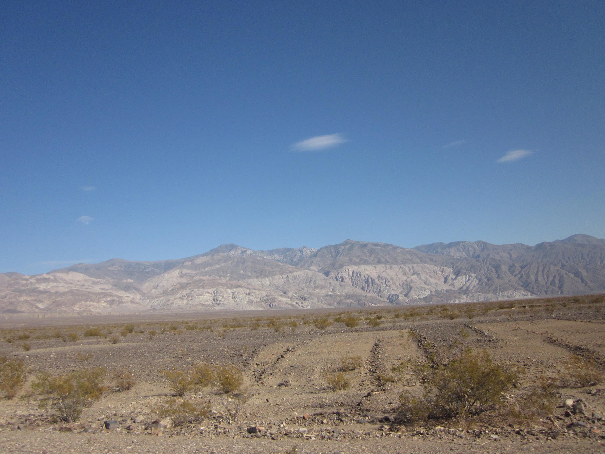 IMG_1556.JPG