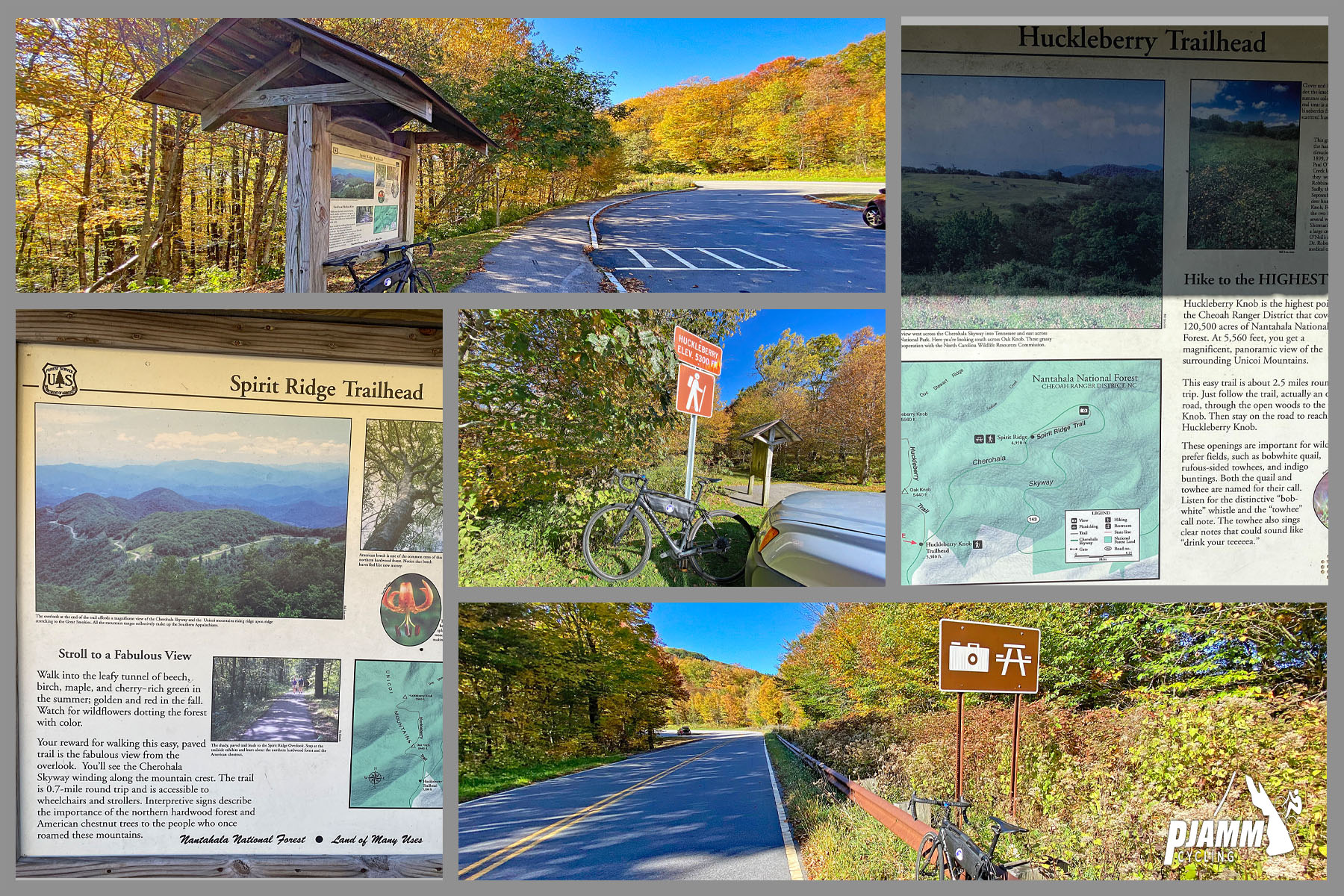 Cycling Cherohala Skyway, North Carolina - Viewpoint #5, Huckleberry