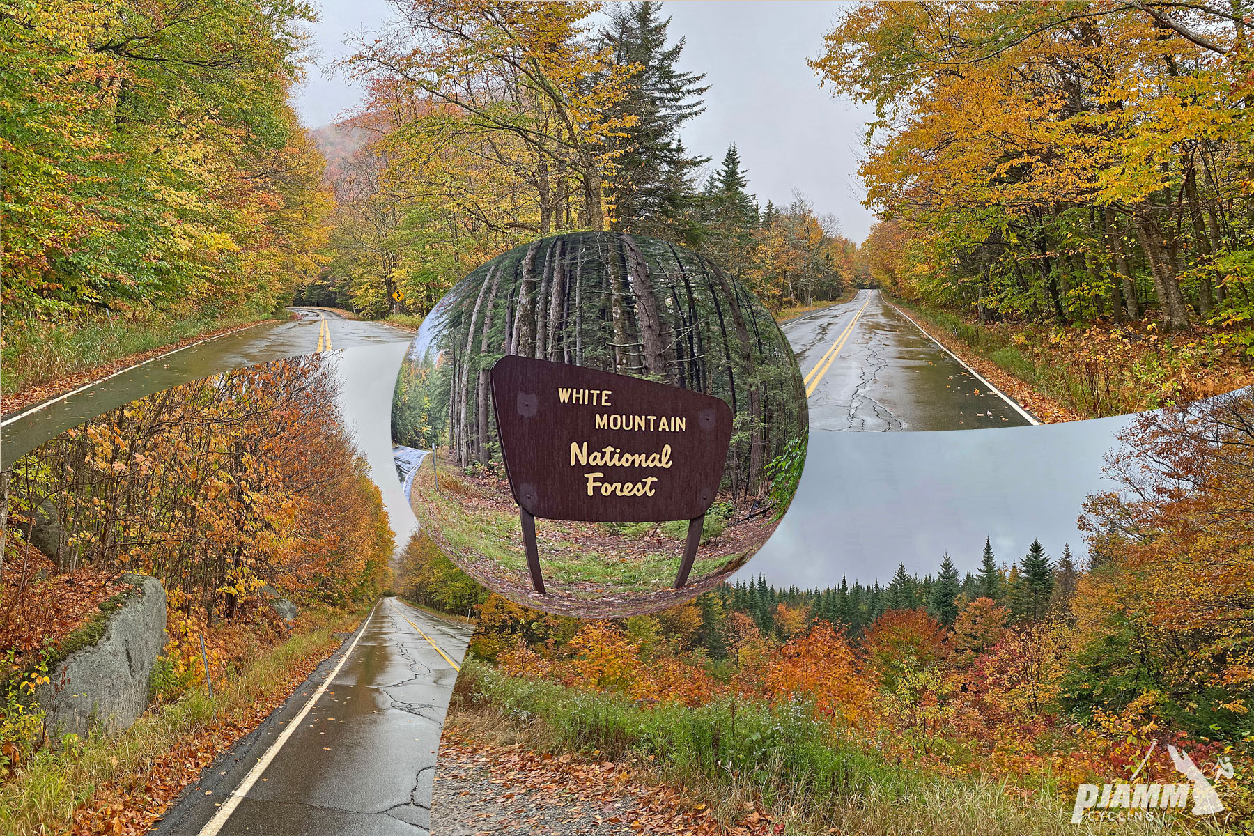Cycling Route 118 North, New Hampshire - photo collage, NPS sign for White Mountain National Forest, fall foliage, PJAMM Cycling logo in corner