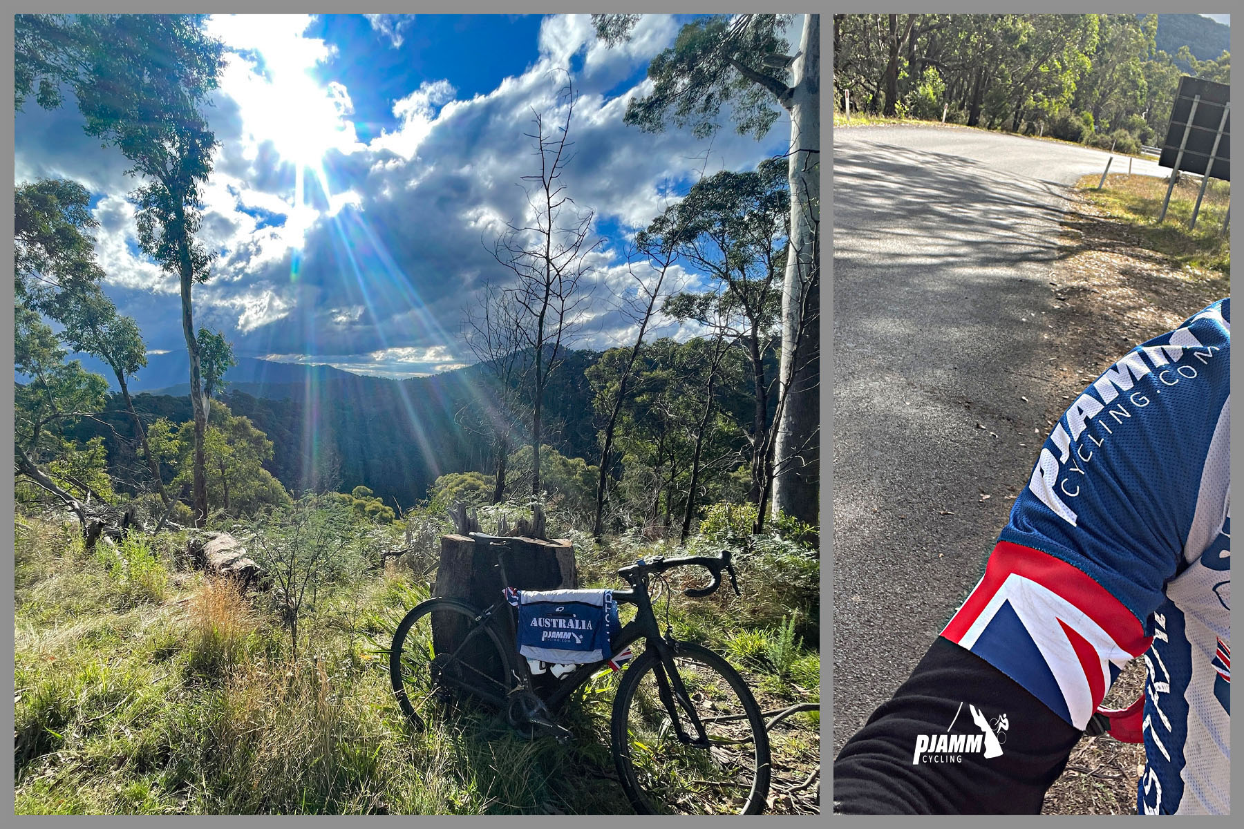 bike parked against tree stump in grass surrounded by tall trees, rays of sunlight shine down through clouds onto bike